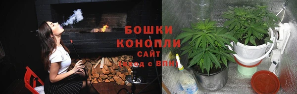 бутират Богданович