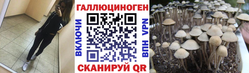 Псилоцибиновые грибы мухоморы  сайты даркнета состав  Бутурлиновка 