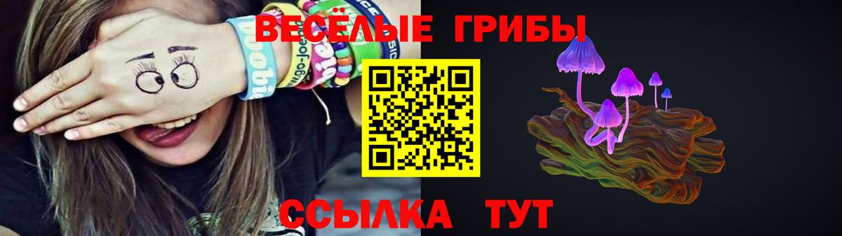где купить наркоту  Псилоцибиновые грибы мухоморы  Вход с VPN  Бутурлиновка 